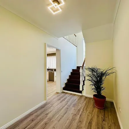 Casa vacanze Palm House Azores Ribeira Grande