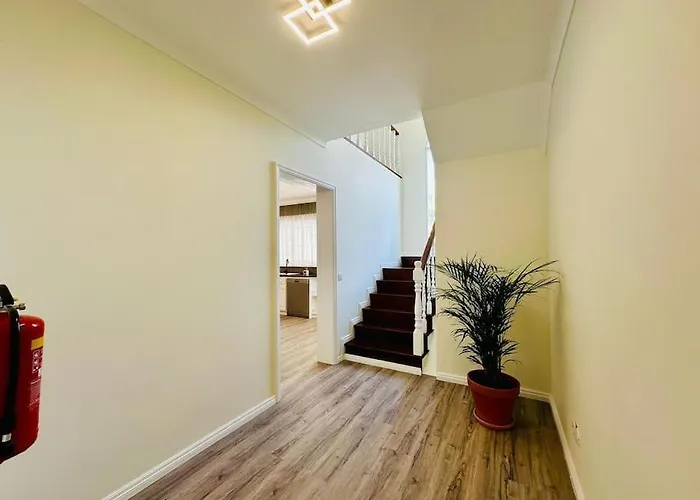 Casa de Férias Palm House Azores Ribeira Grande